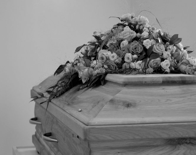 pexels mario wallner 107470762 12403416